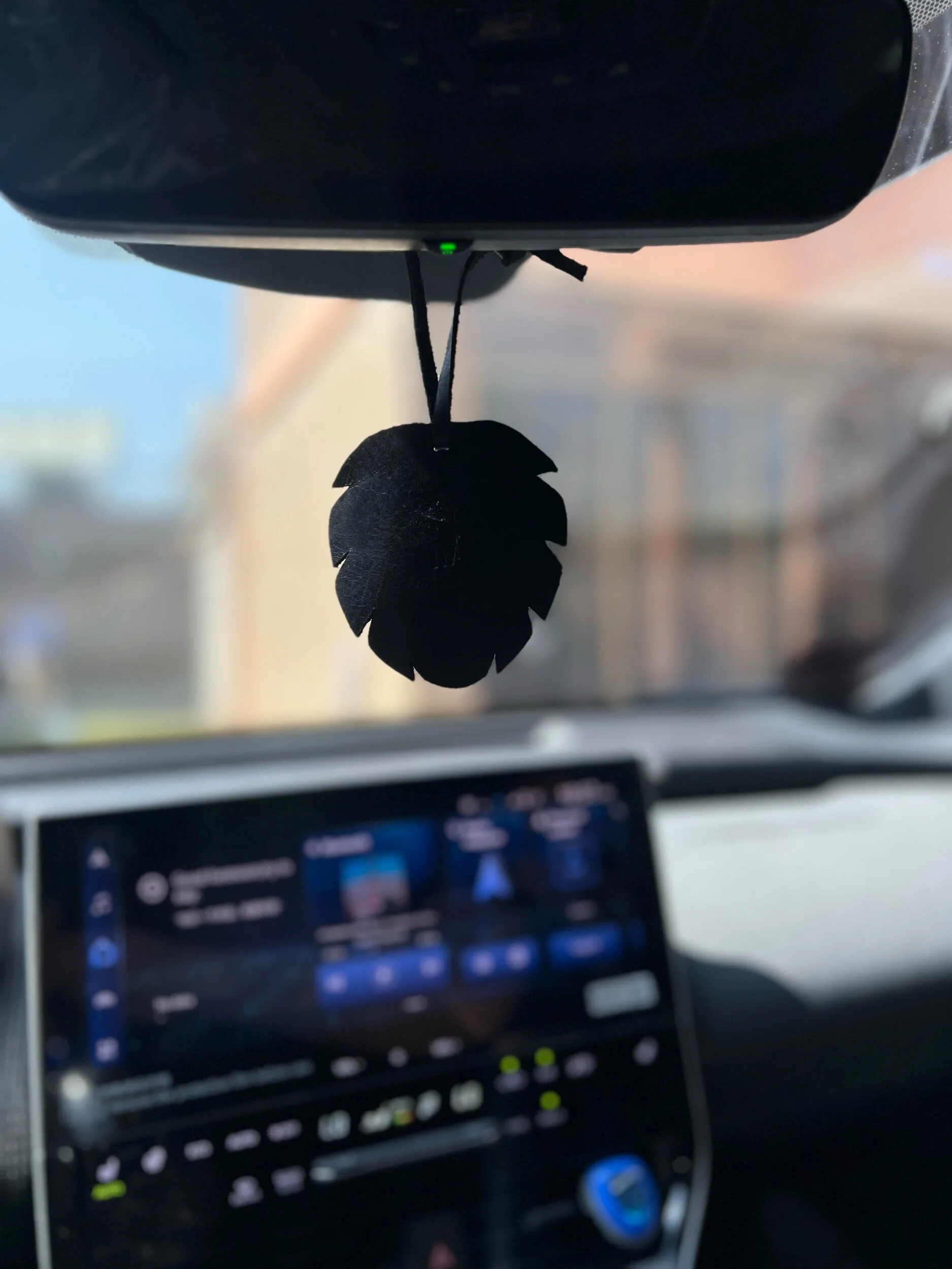 A9240896-89F5-4A01-90A8-36F968922865