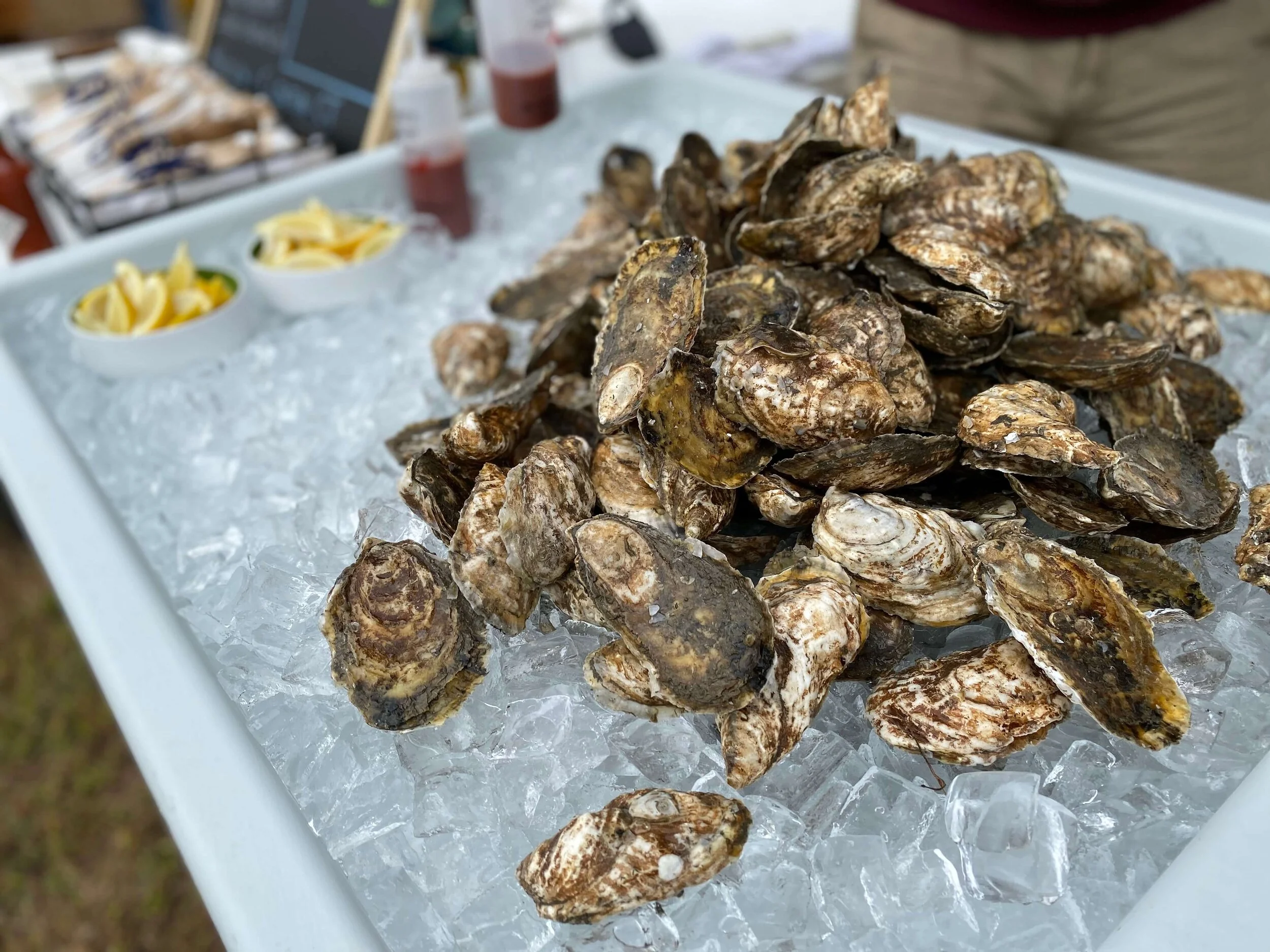 1 Dozen Hammonasset Point Oysters — Indian River Shellfish
