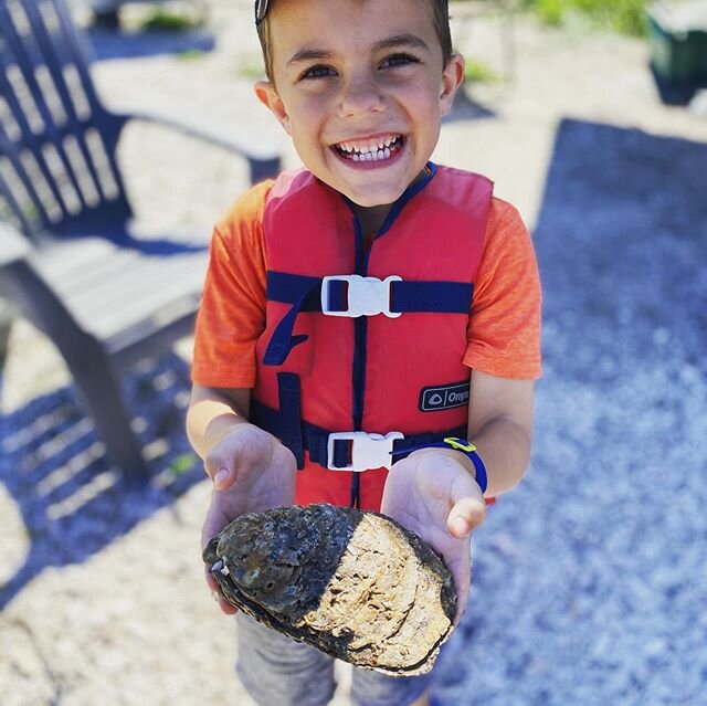 Jumbos! Sold out quick this week, but we&rsquo;ve got farmed oysters, clams and lobsters! 🦪🦞
&bull;
&bull;
&bull;
#jumbooysters #oysters #hammonassetpointoysters #familybusiness #futurefisherman #lobster #connecticut #cteats #connfoodandfarm #madis