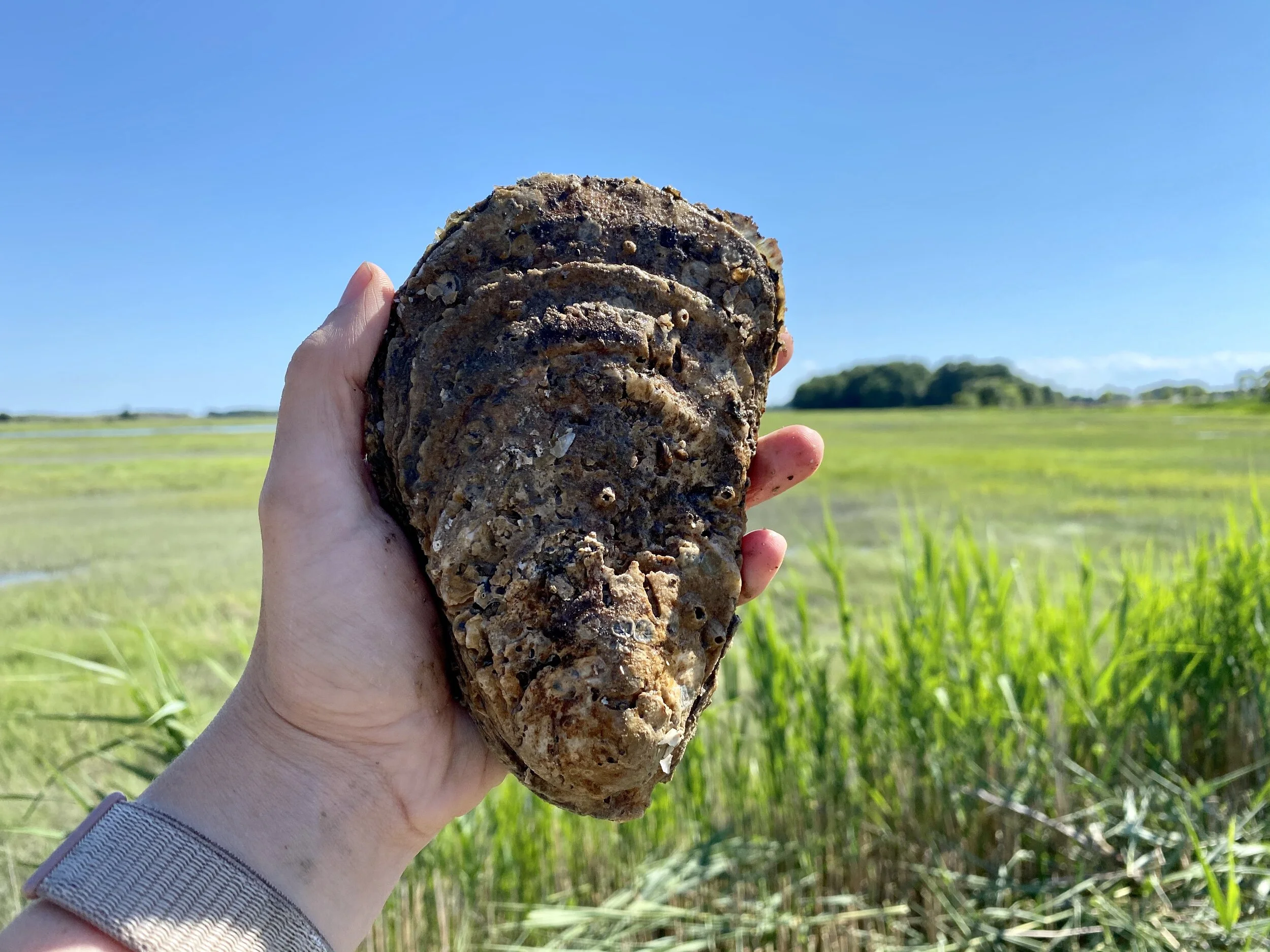 BDB6A68C-9911-458F-891B-6A036E1A1610