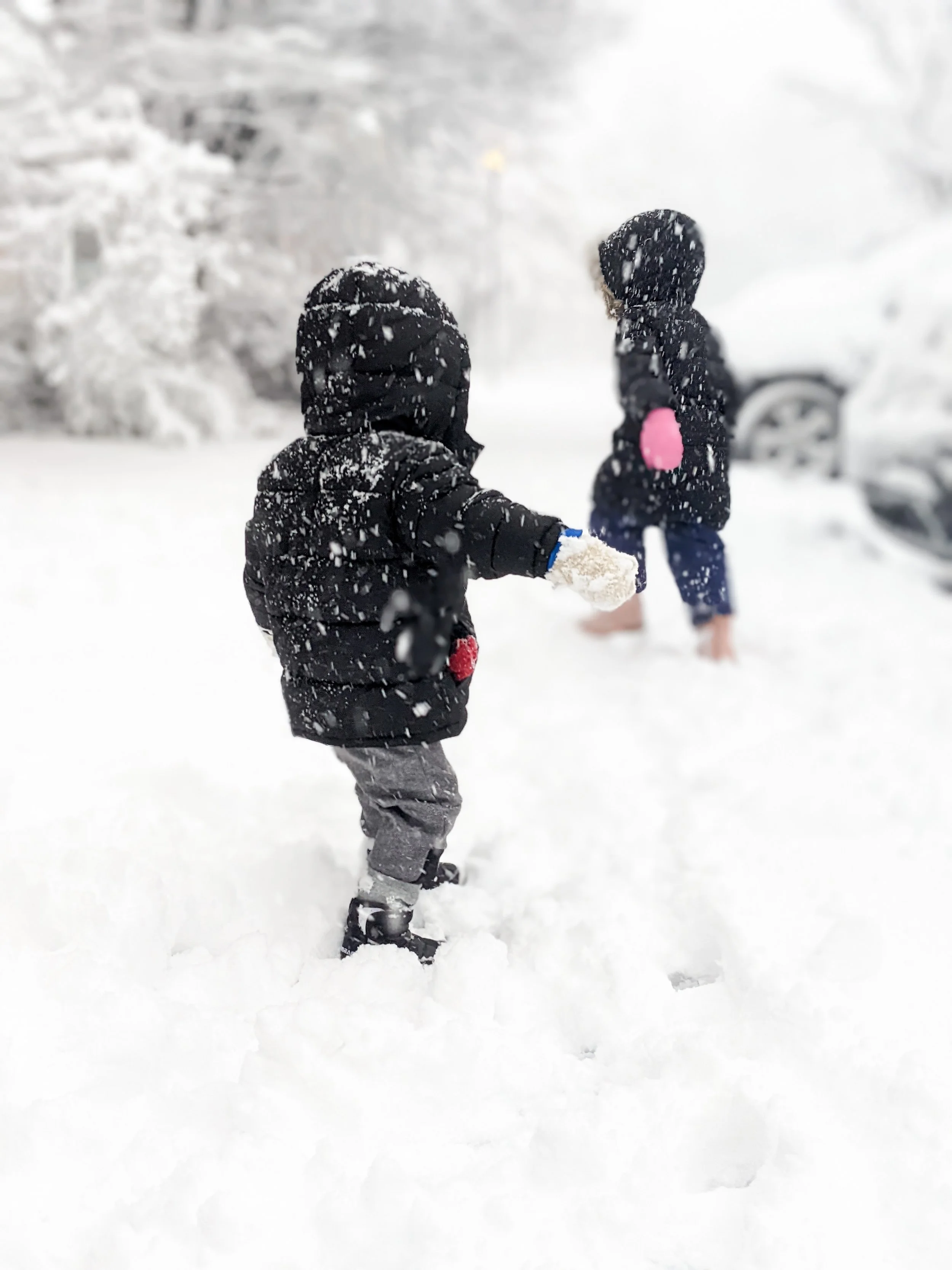 Snow For Days