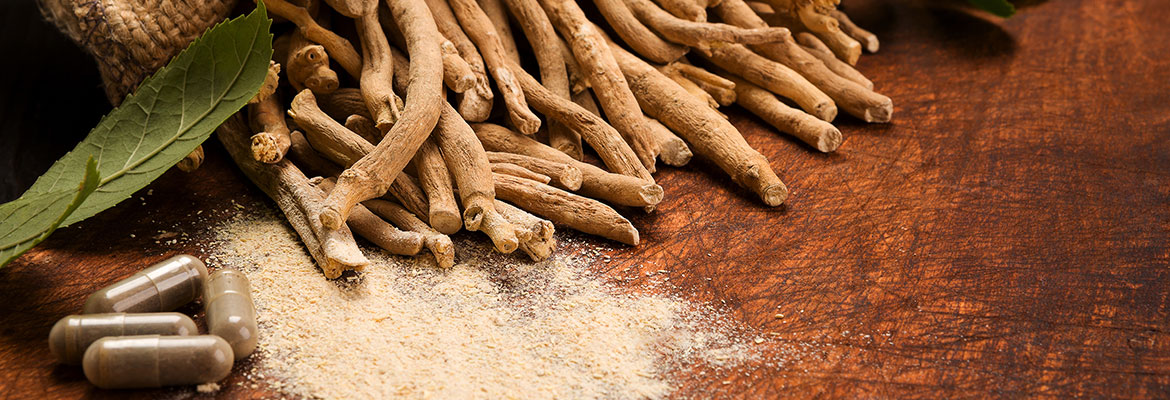 Nutritional Nugget: Ashwagandha Root