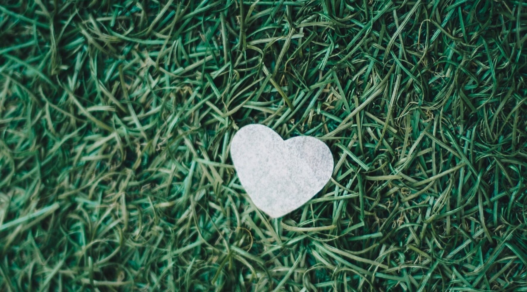 My Heart Operation Experience