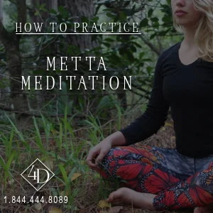 Metta Meditation.jpg