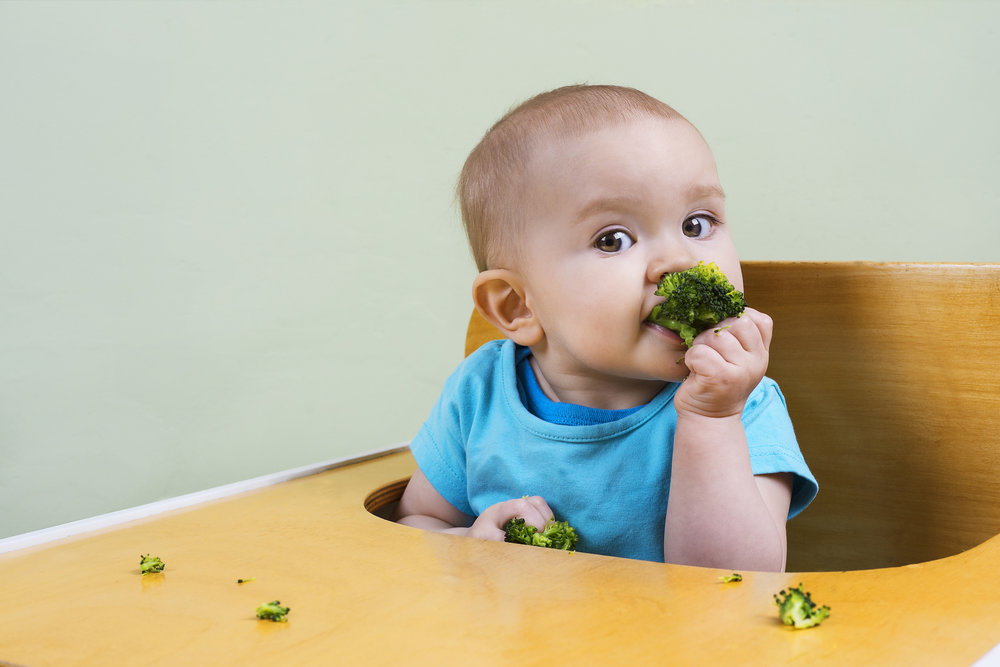 What to About Baby-Led Weaning