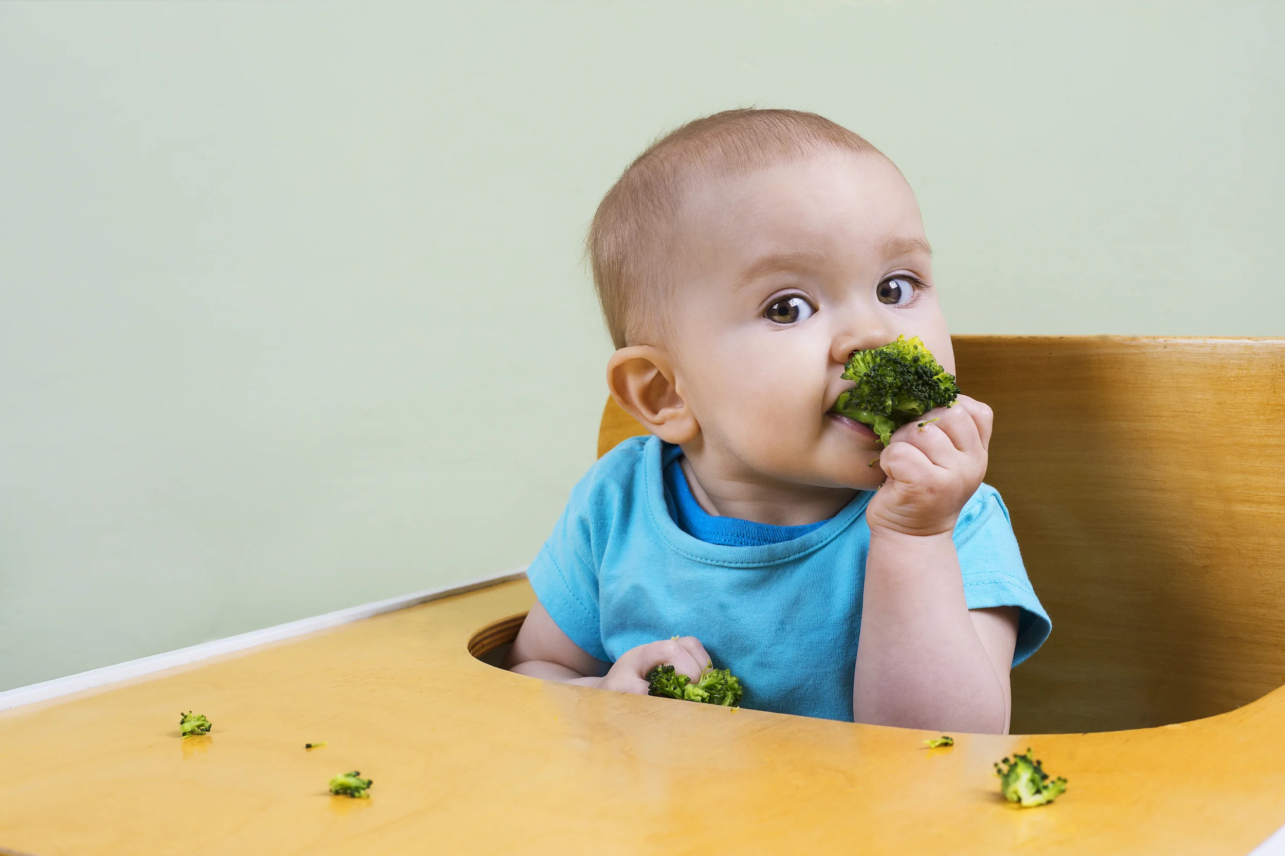 https www mamava com mamava blog baby led weaning