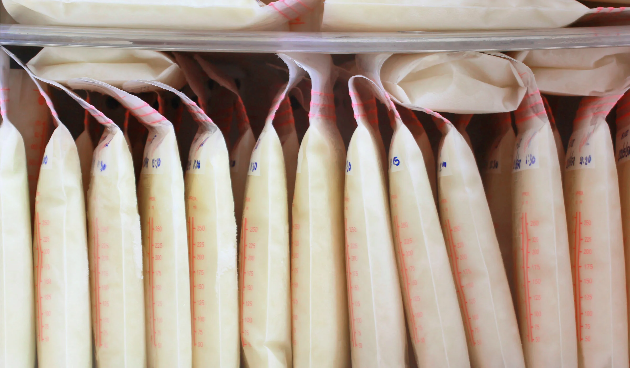 The 5 Very Best Breast Milk Storage Bags We Tested