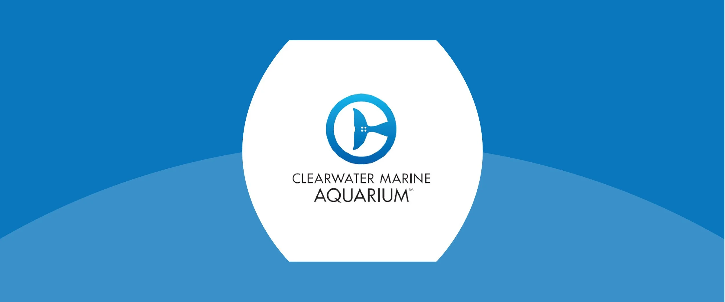 How Clearwater Marine Aquarium Supports Breastfeeding Families