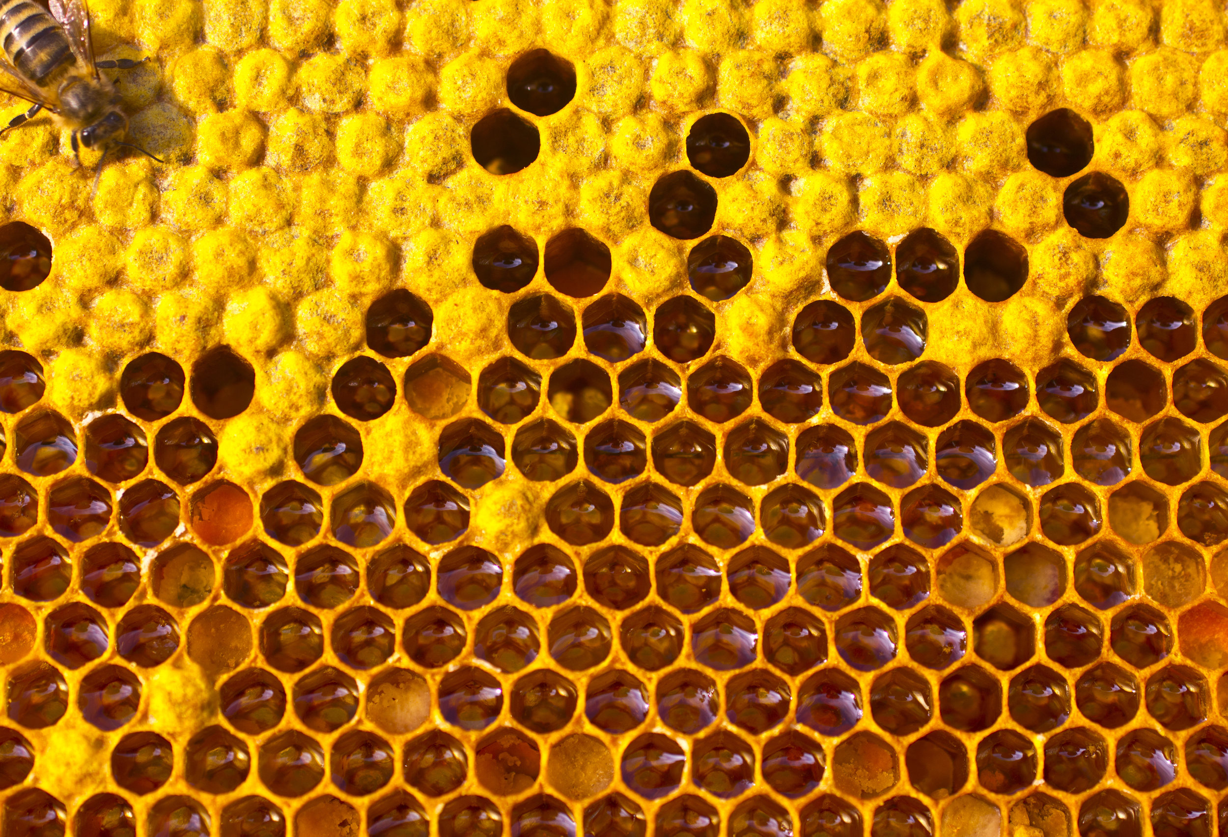 AdobeStock_78313985.jpeg