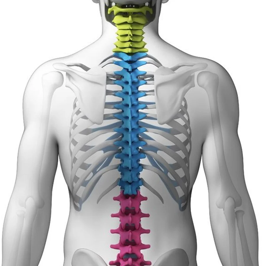 How to ensure your spine thanks you after a hard day at the office