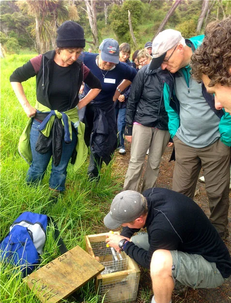 Mataia restoration project volunteers