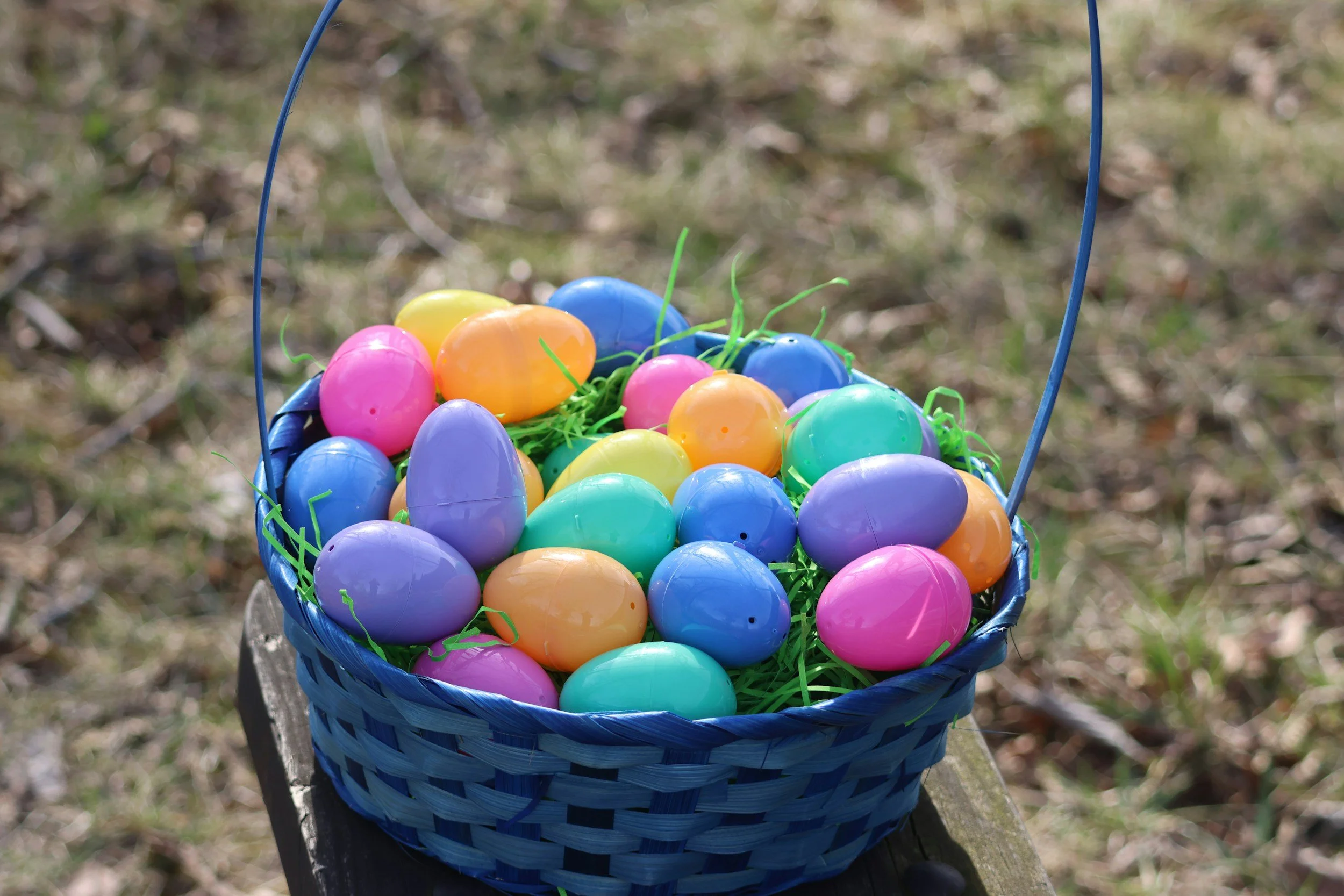 Easter Egg Hunt