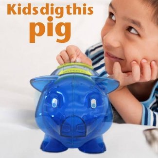 The Secrets of the Blue Pig