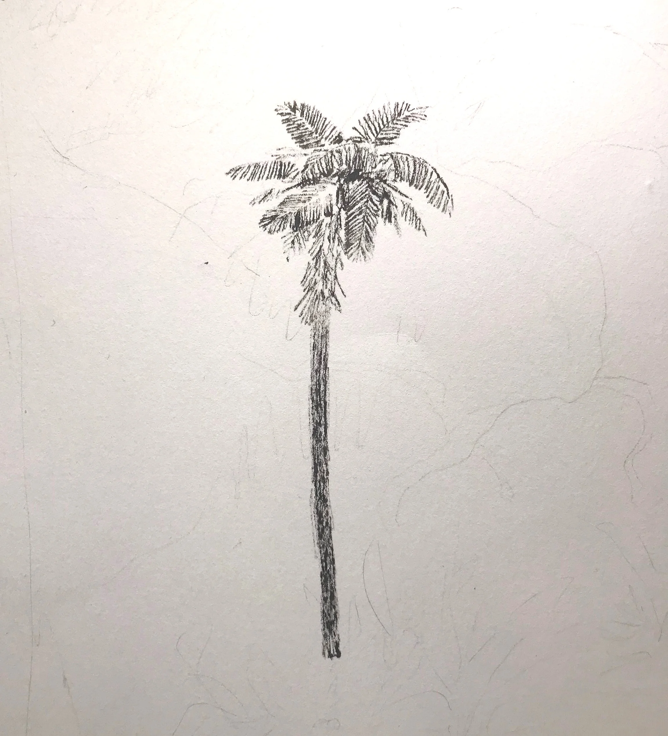 palm tree.JPG