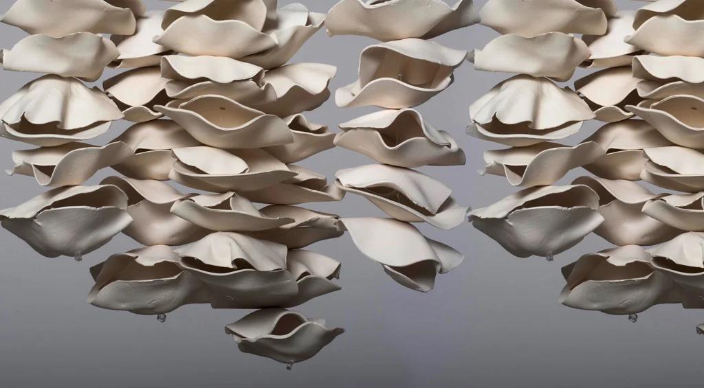CLOUD by Susan Card