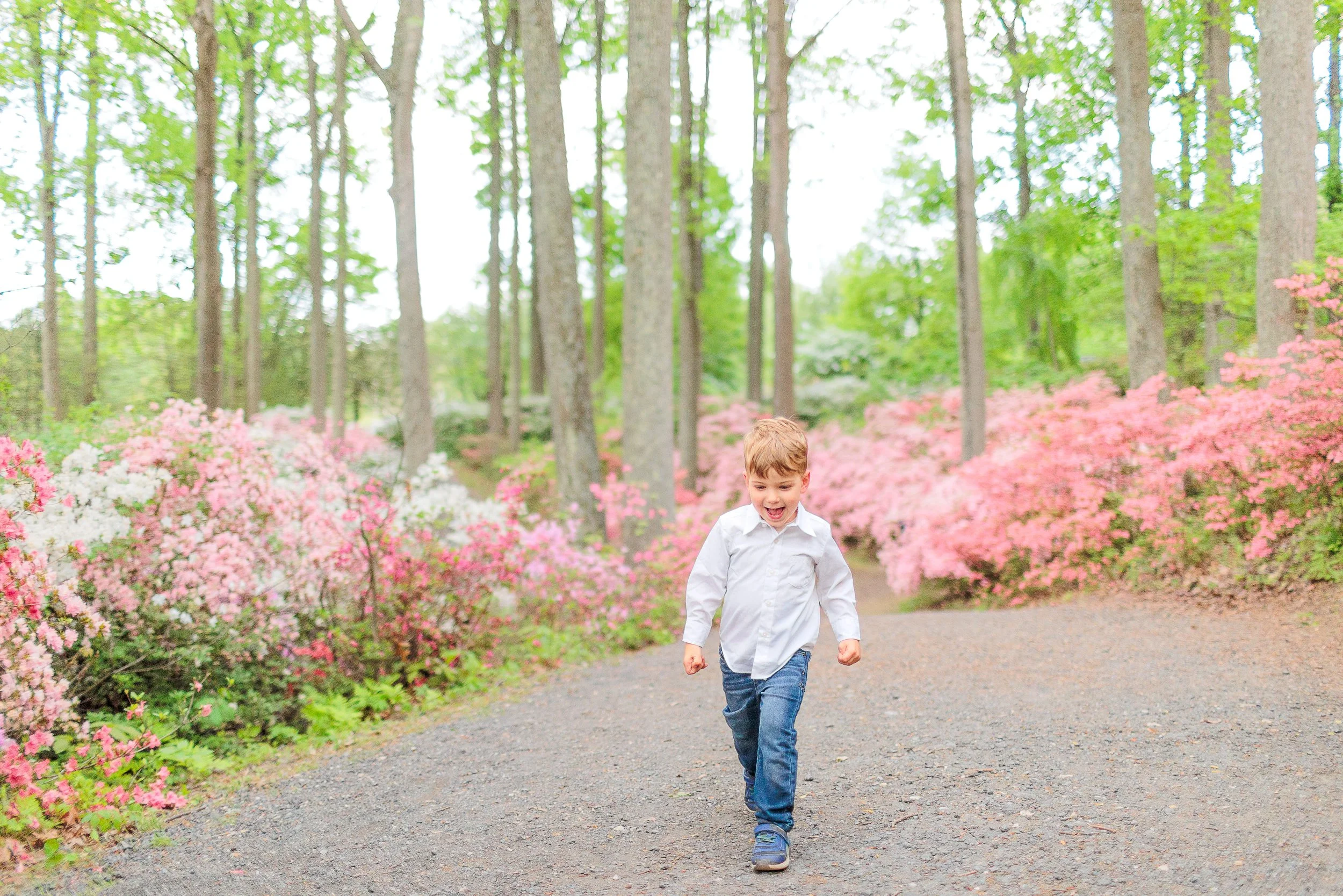 Spring child portrait at Azalea Gardens in Maryland