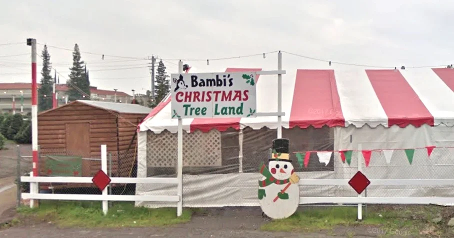 RosevilleLot.jpg