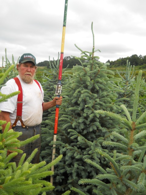 Wayne with measure stick.png