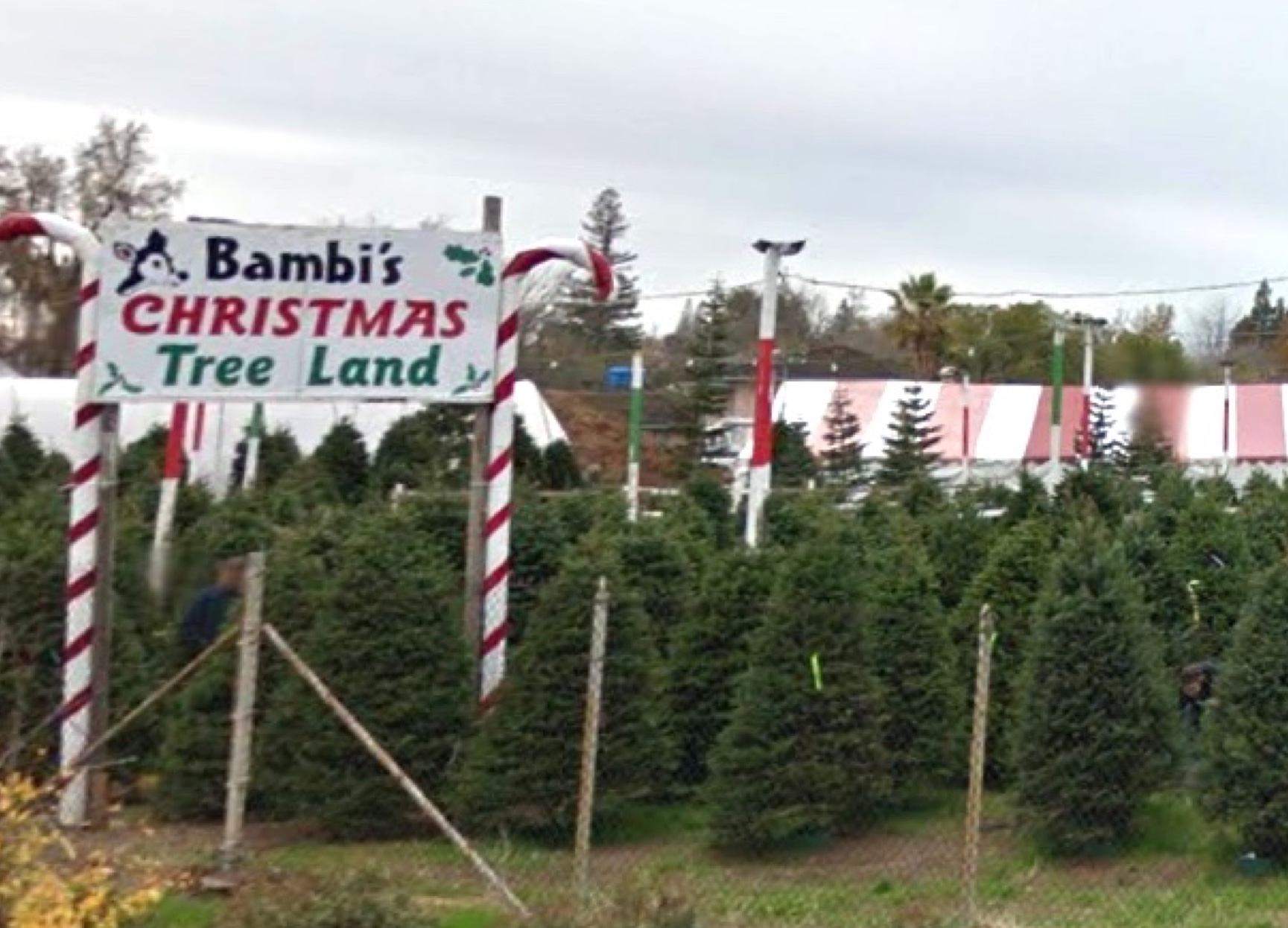 RetailLotFromFreeway_02_cropped.jpg