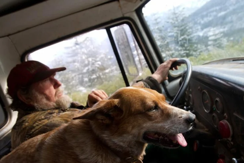 13_Bambi and Amy in truck.jpg