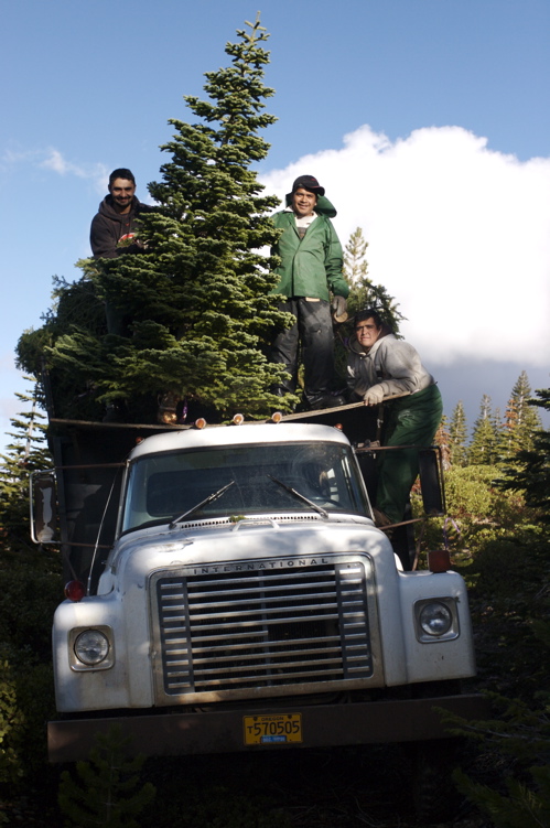 15_LoadingTruckFront.jpg