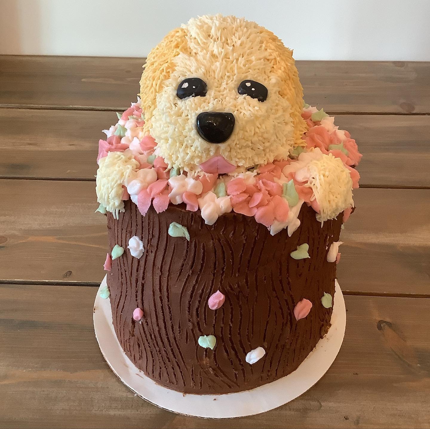 Puppy Cake.jpg