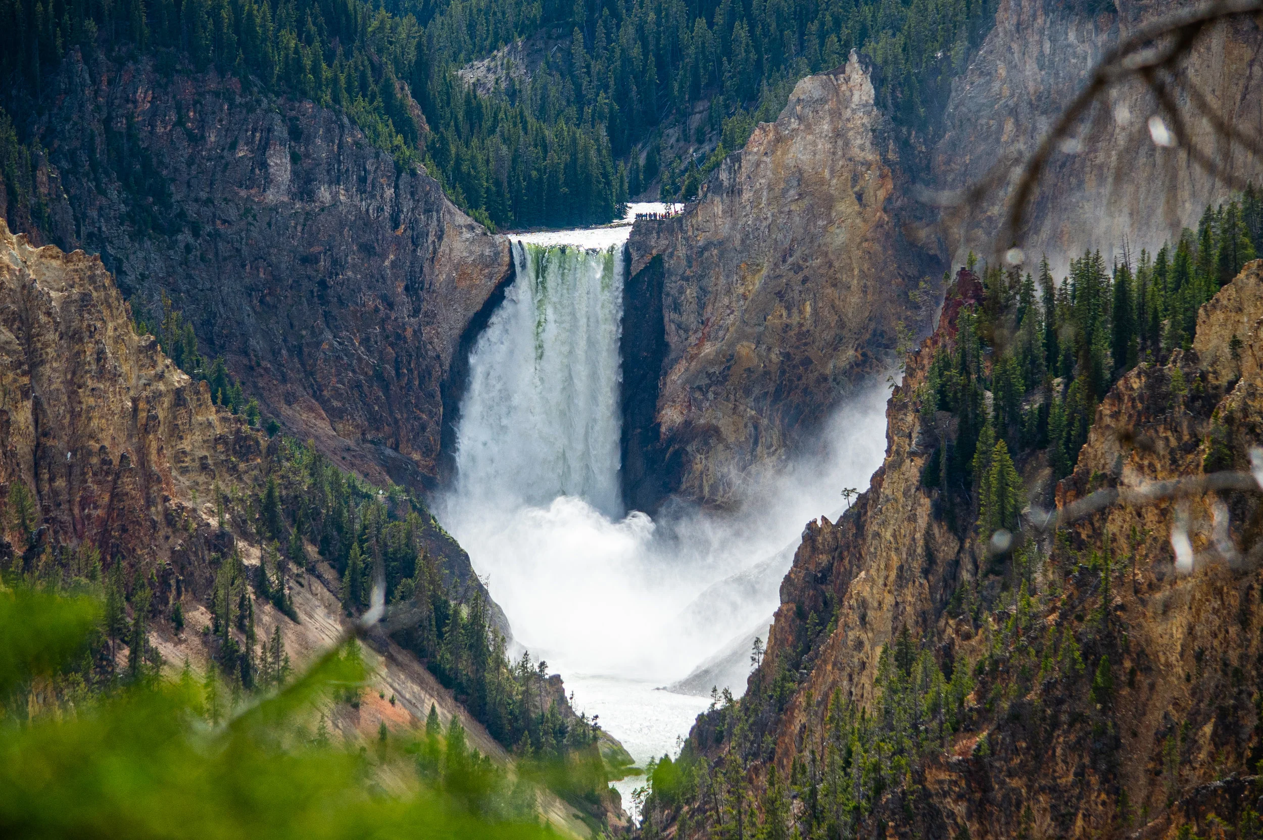 grandcanyonyellowstone2.jpg