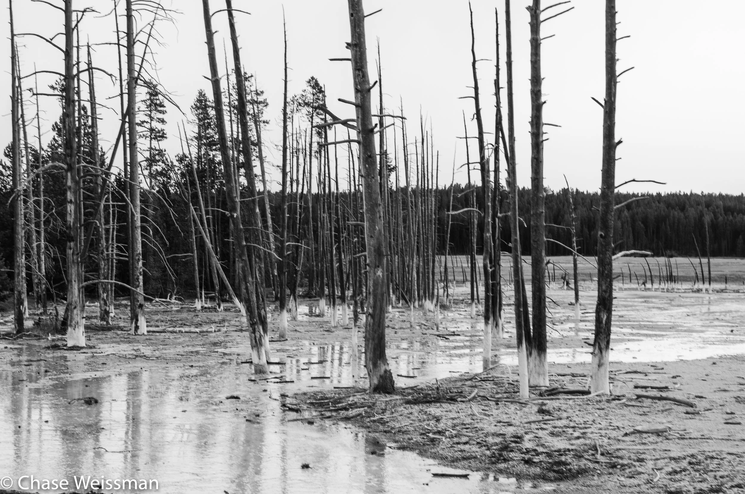 yellowstone10.jpg