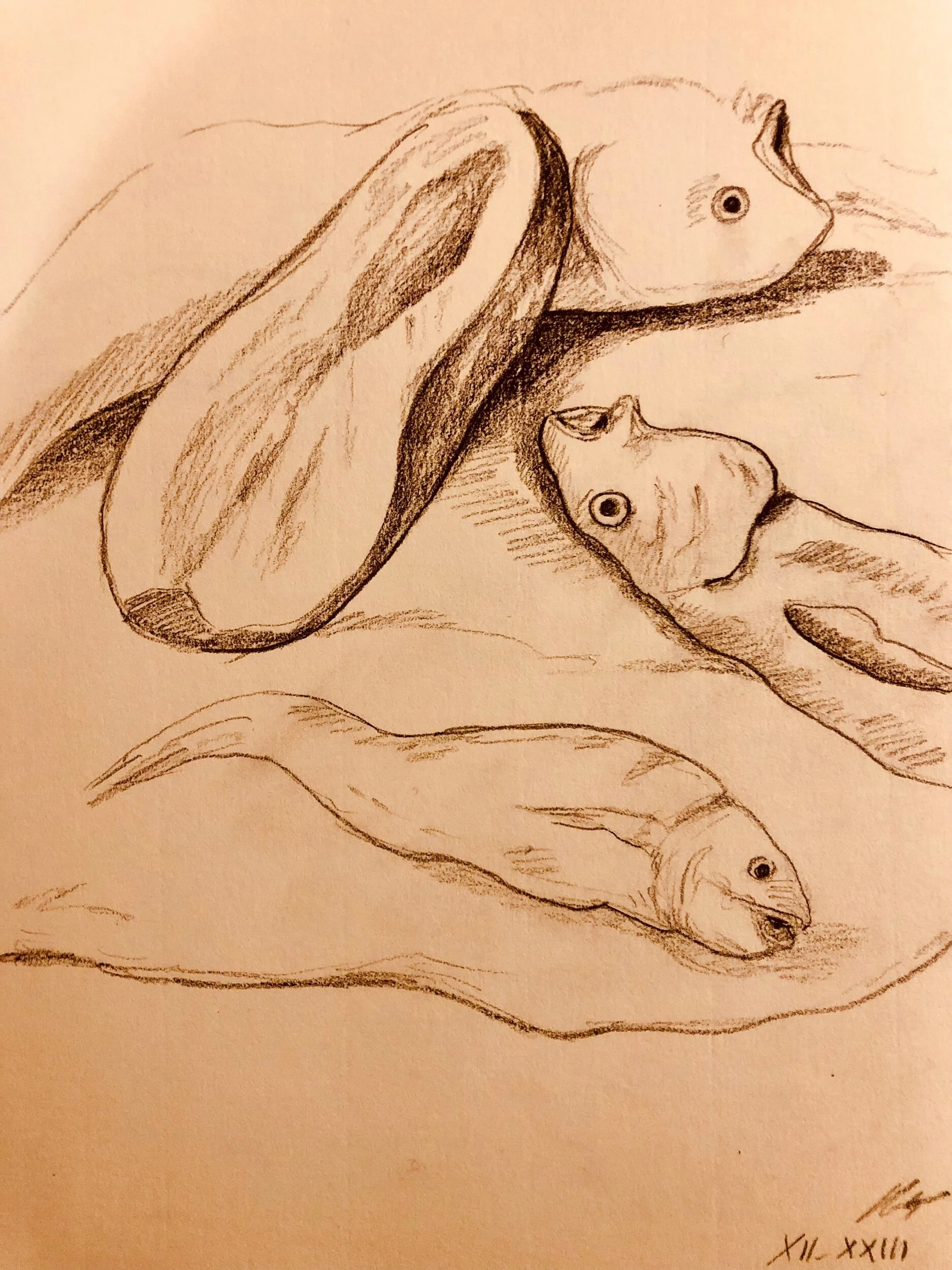 032C89D1-2388-4244-B3A9-9FCC47DD9EA6