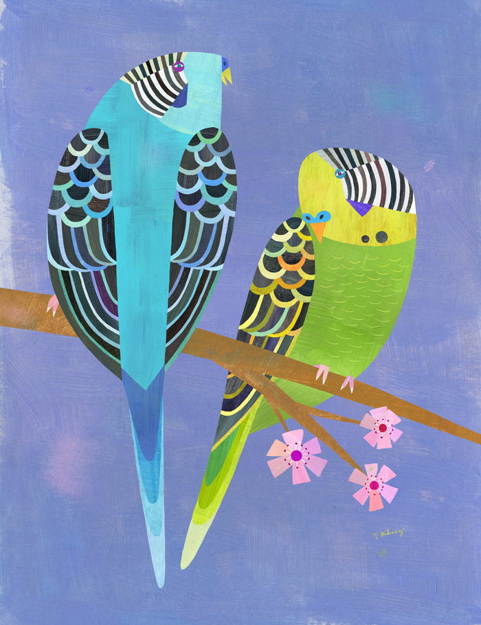 parakeet pair