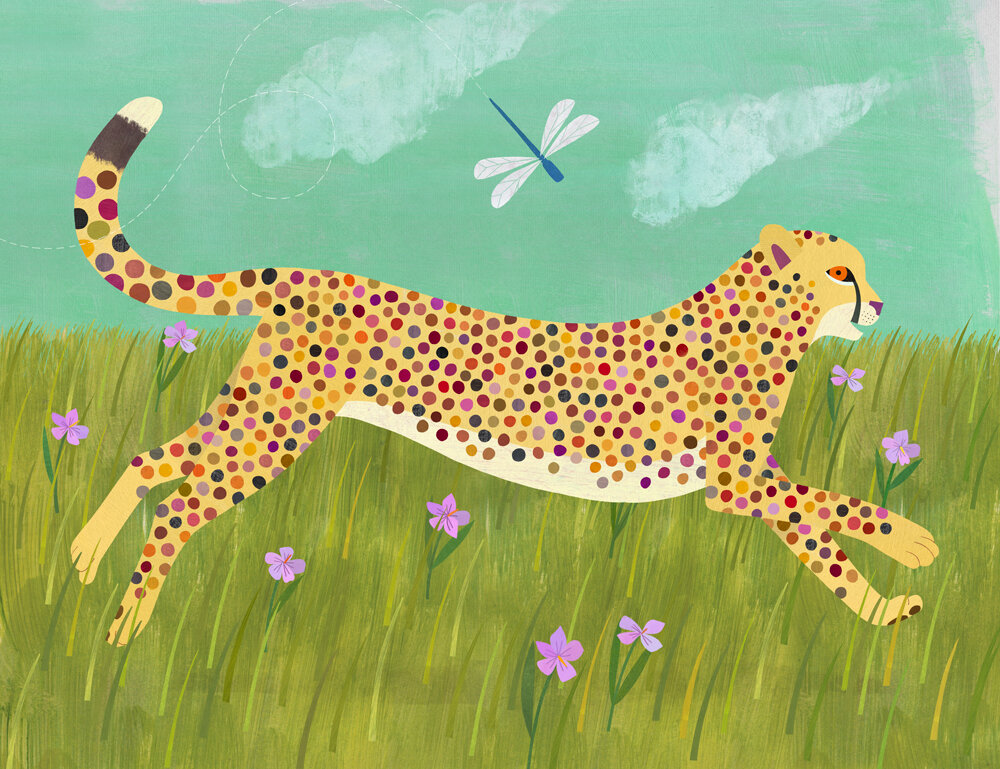 cheetah run