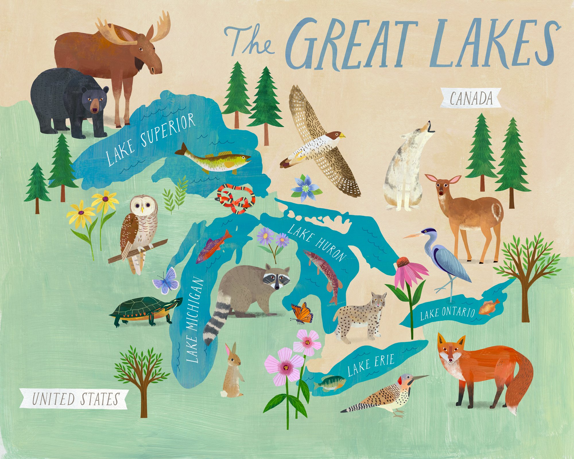 The Great Lakes