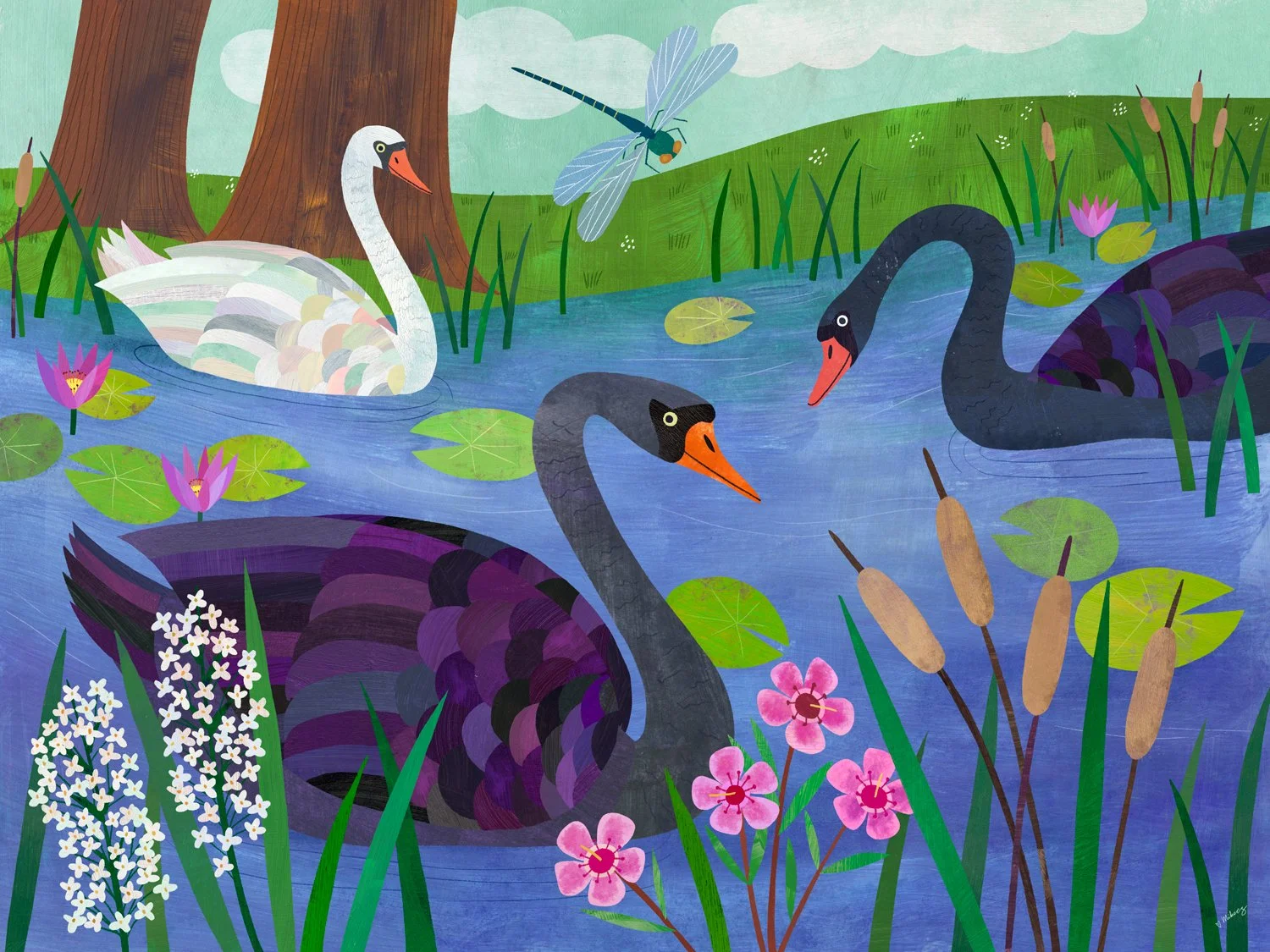 black swan