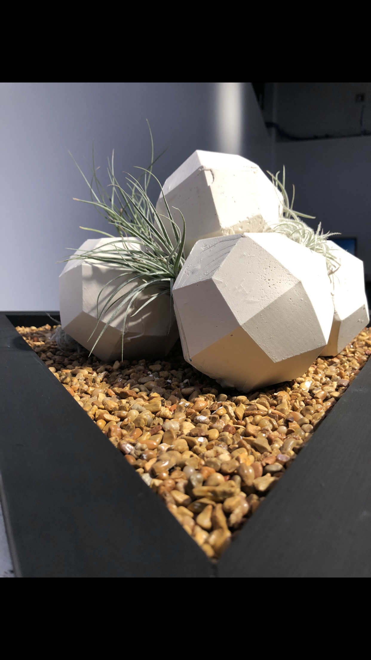  (18 x 18 in)  Casts of digitally designed object with air plants 