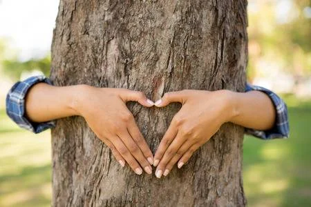 hugging-tree.jpg