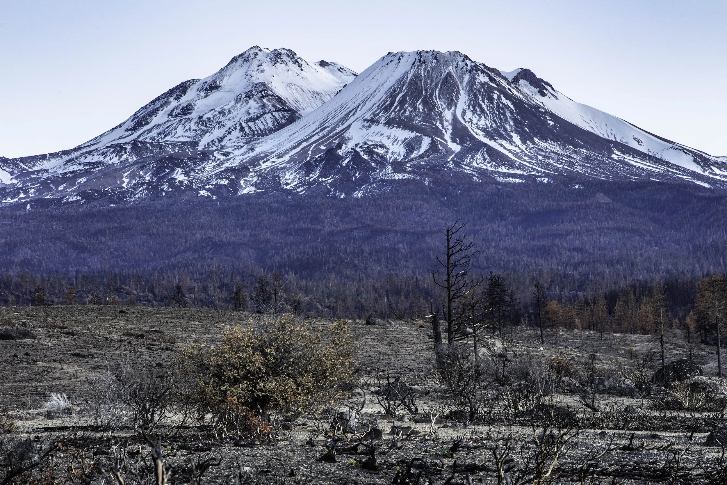 Aftermath of the Mt Shasta fire .