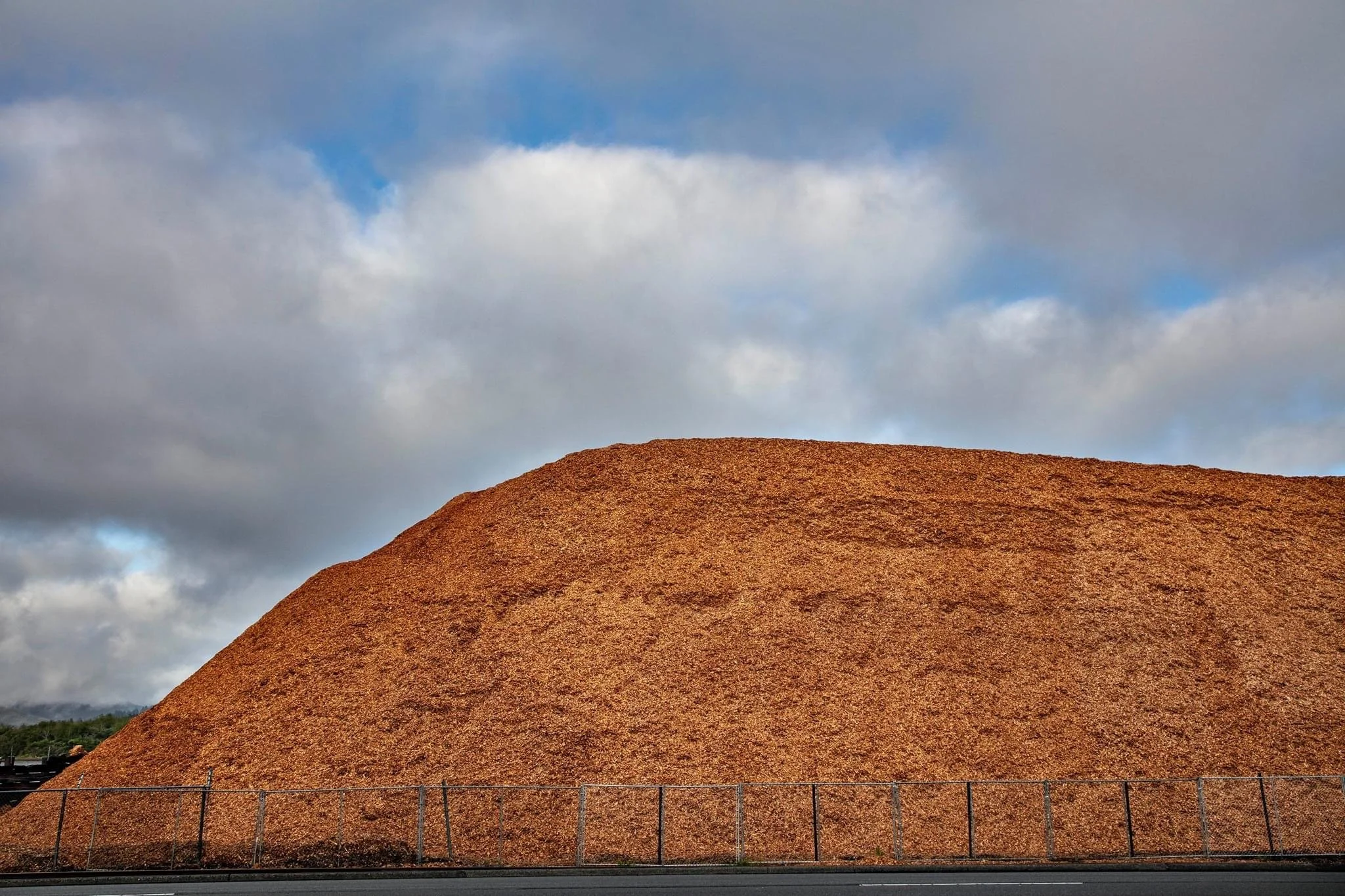  Lumber Mill Coos Bay Oregon 2020 