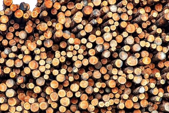  Lumber Mill Coos Bay Oregon 2020 