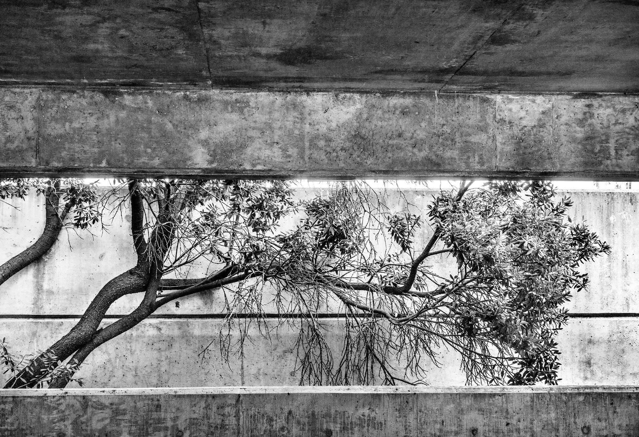  Parking Garage San Francisco 2019 