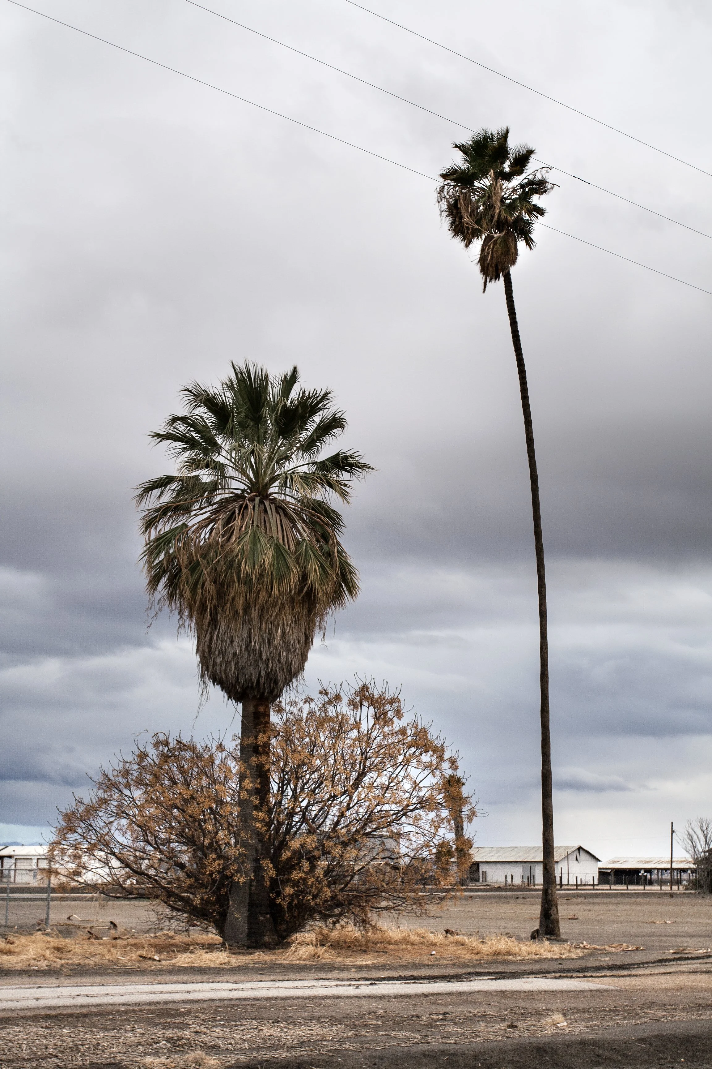 Salinas California 2014
