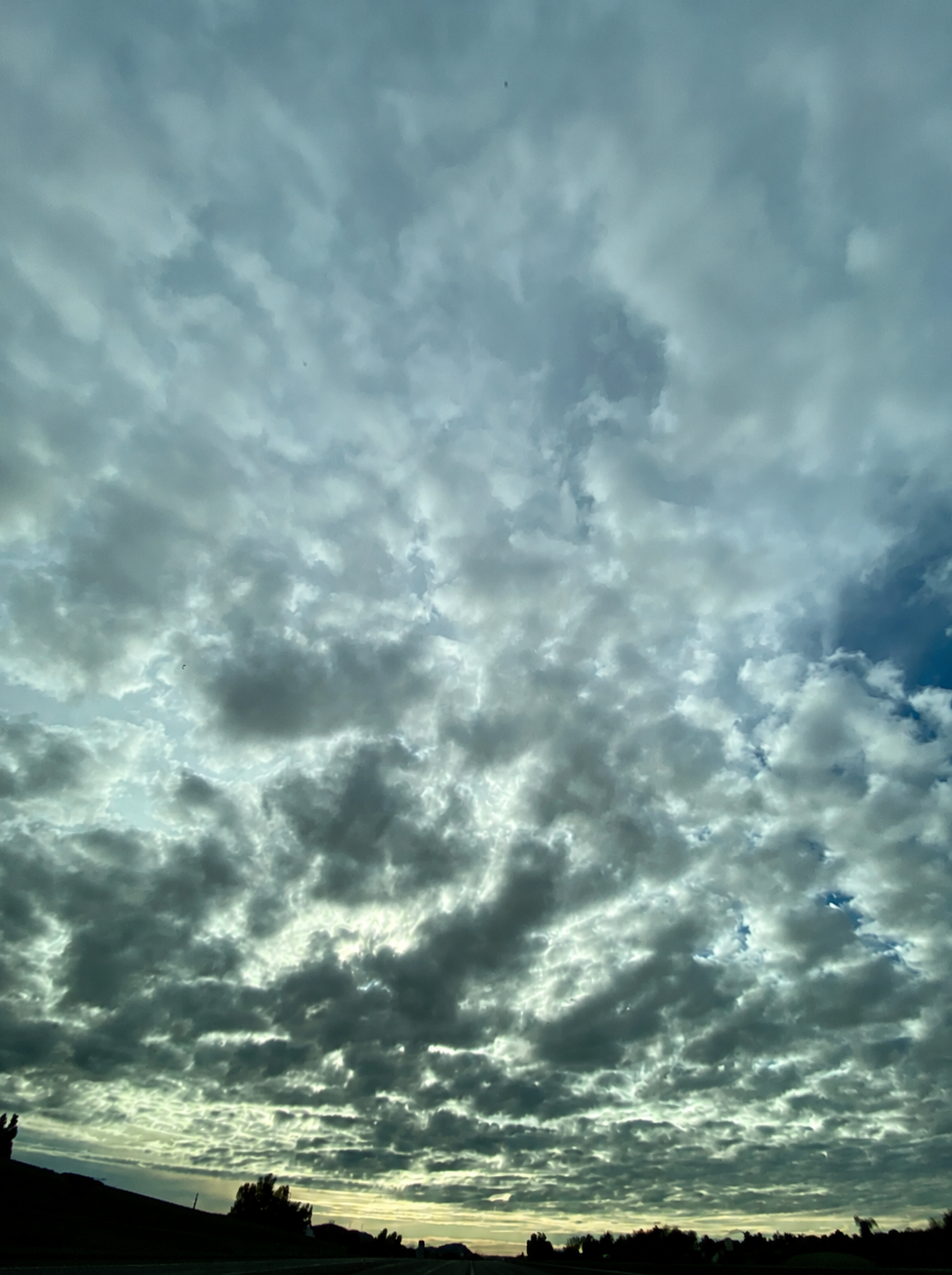 Website Image EXT.png