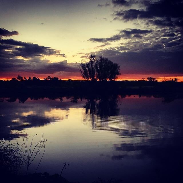 Nature doesn&rsquo;t judge... good or bad, proactive or lazy... the gift is for everyone xx #covid19 #creativeisolation #lovespringsfromanywhere #nature #lovecomesfrominside