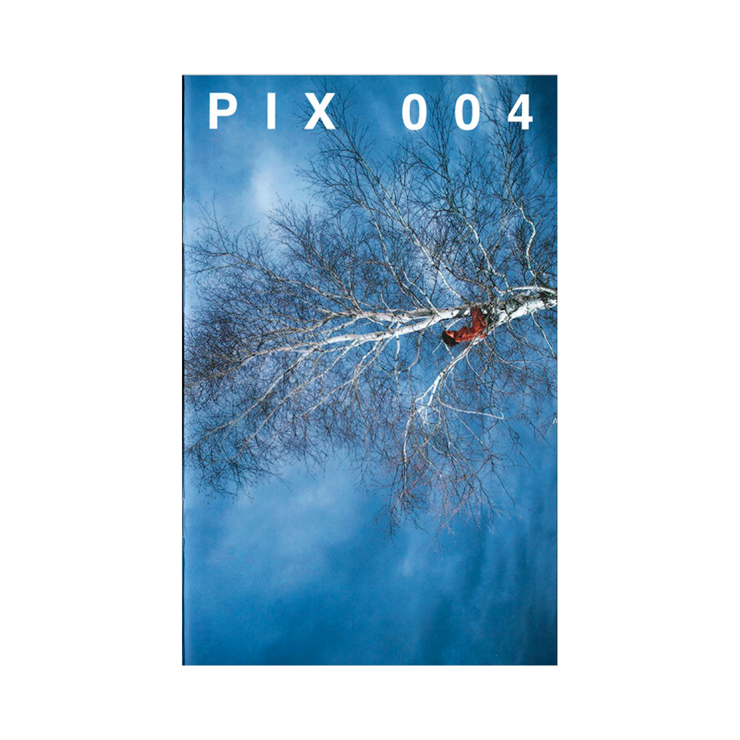 PIX 004 : Ryan McGinley