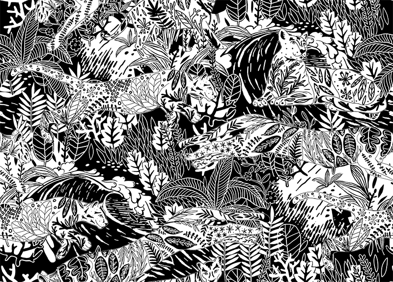 Screen Shot 2019-01-15 at 10.41.29 AM.png