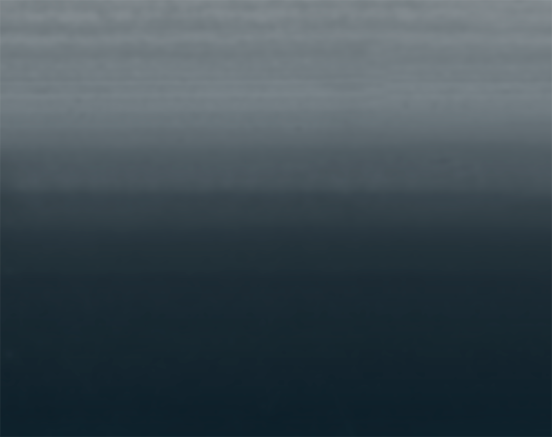 Screen Shot 2019-01-15 at 11.13.01 AM.png