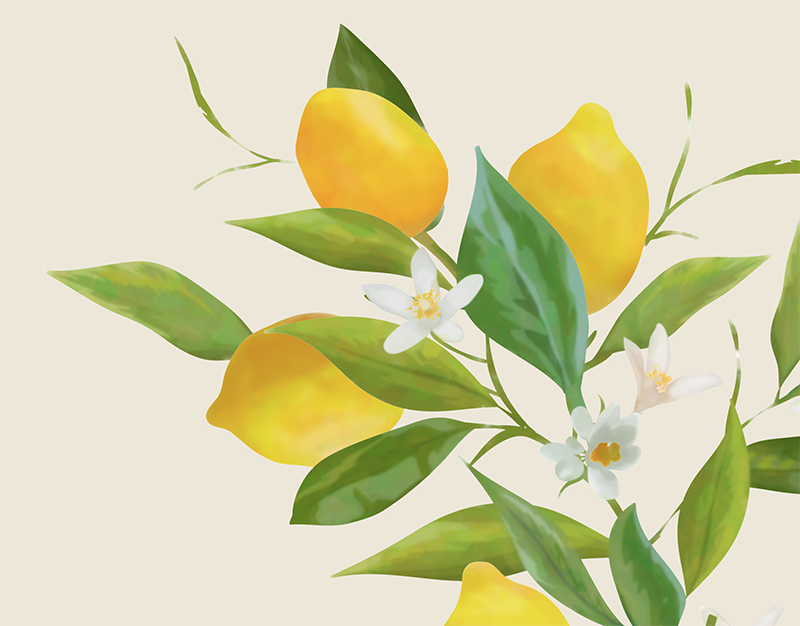 Screen Shot 2019-01-30 at 9.03.40 AM.png