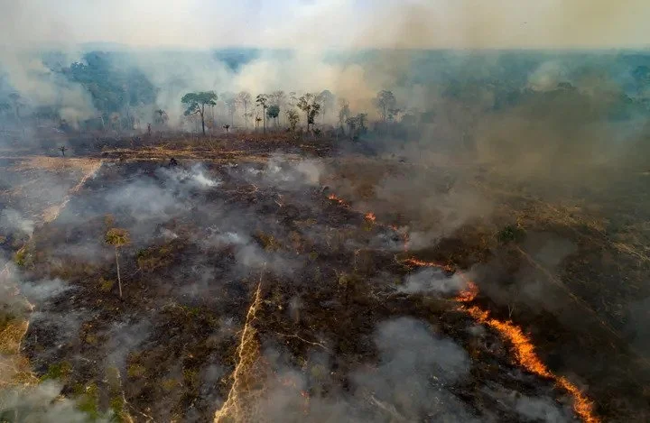 The Amazon Rainforest Can’t Survive 4 More Years Of Brazil's Jair Bolsonaro
