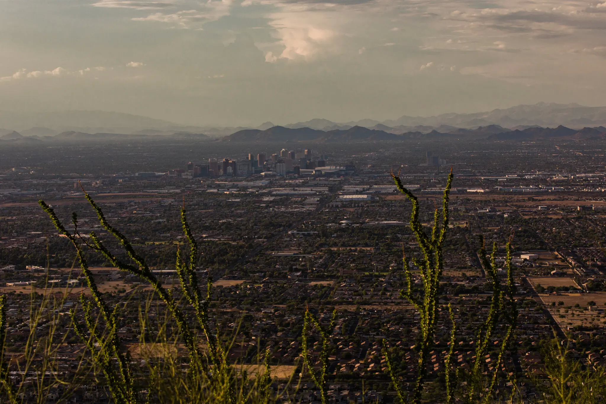 As the Planet Cooks, Climate Stalls as a Political Issue