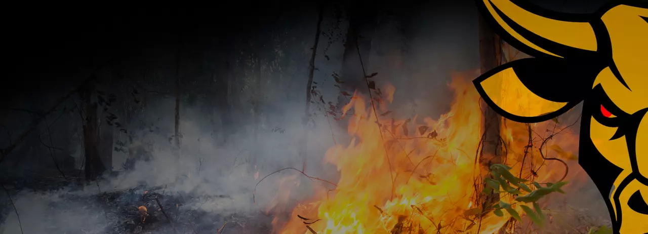 As the World Floods and Burns, It's Time to Hold Wall Street to Account