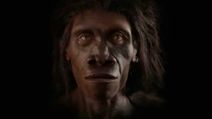 If the Future Is Like the Present, Our Civilization Will Collapse